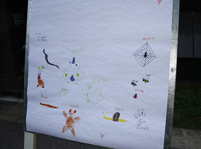 lampion 004