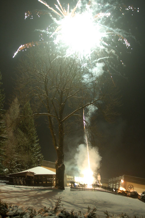 silvestr 41