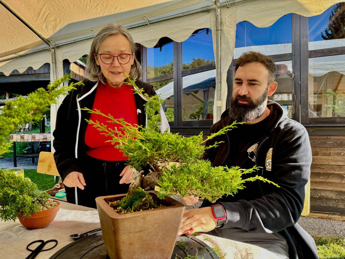bonsai-skola-07