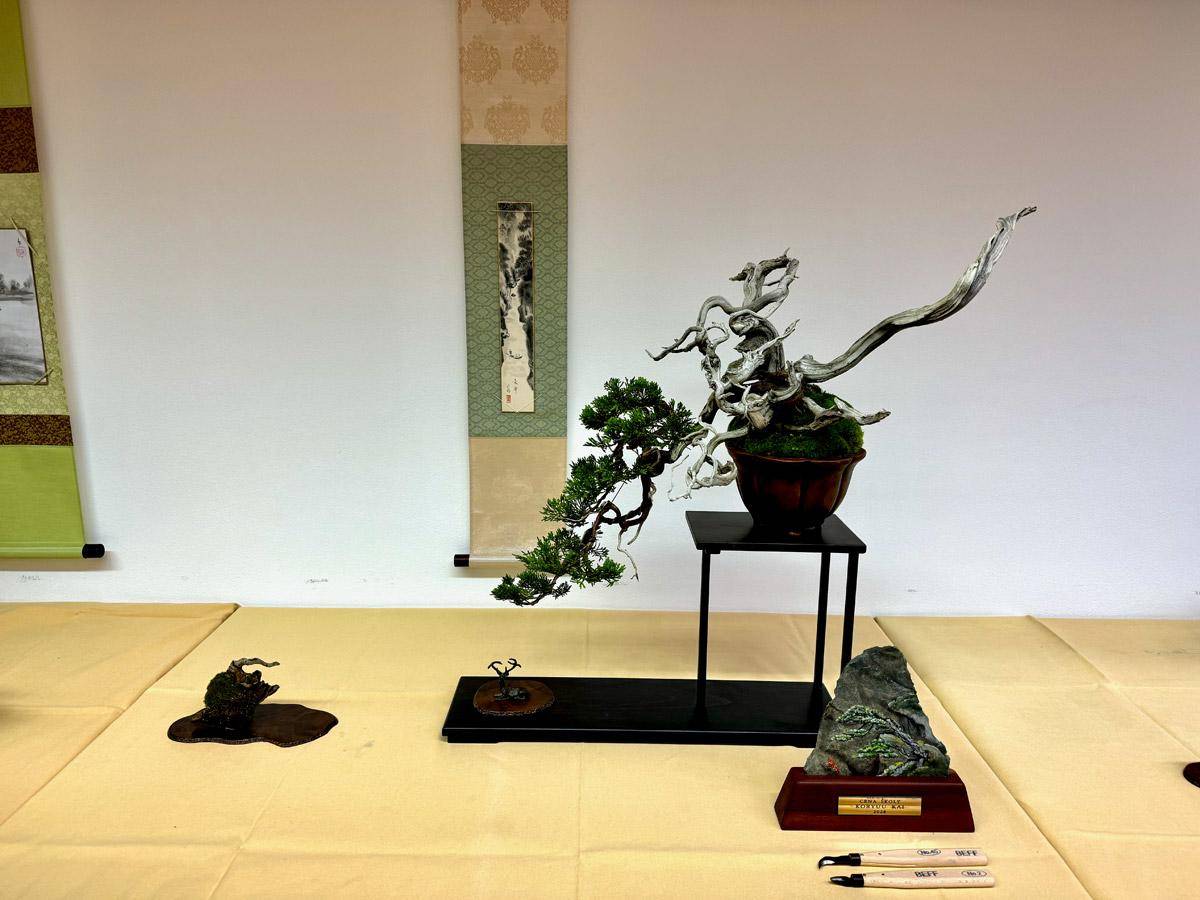 bonsai-skola-132