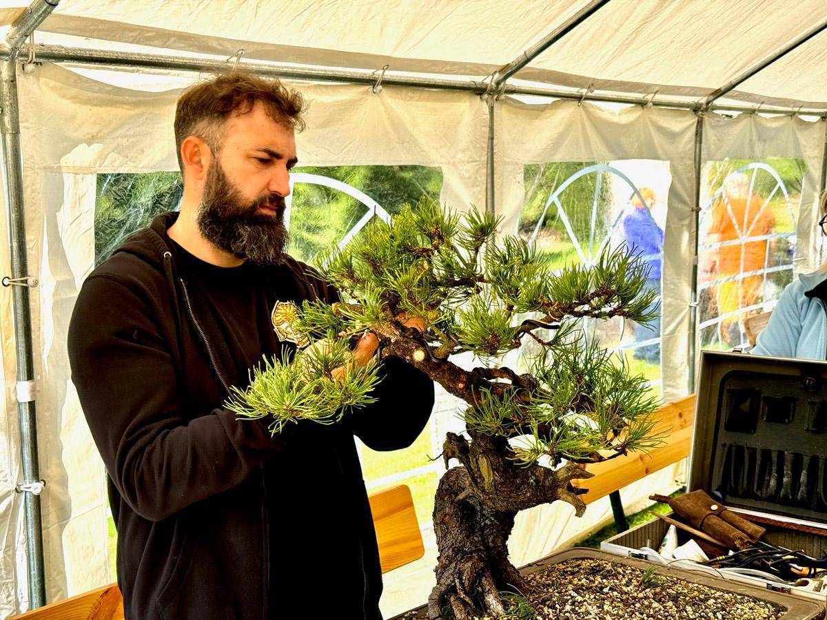 bonsai-skola-153