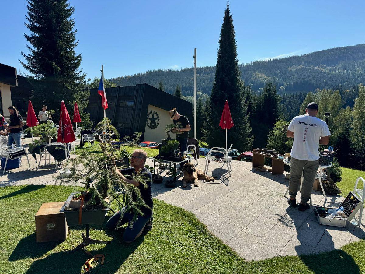 bonsai-skola-36