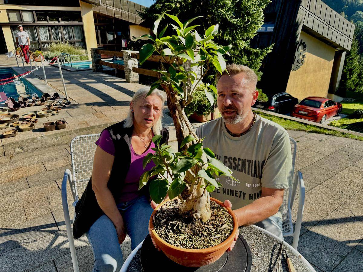 bonsai-skola-62