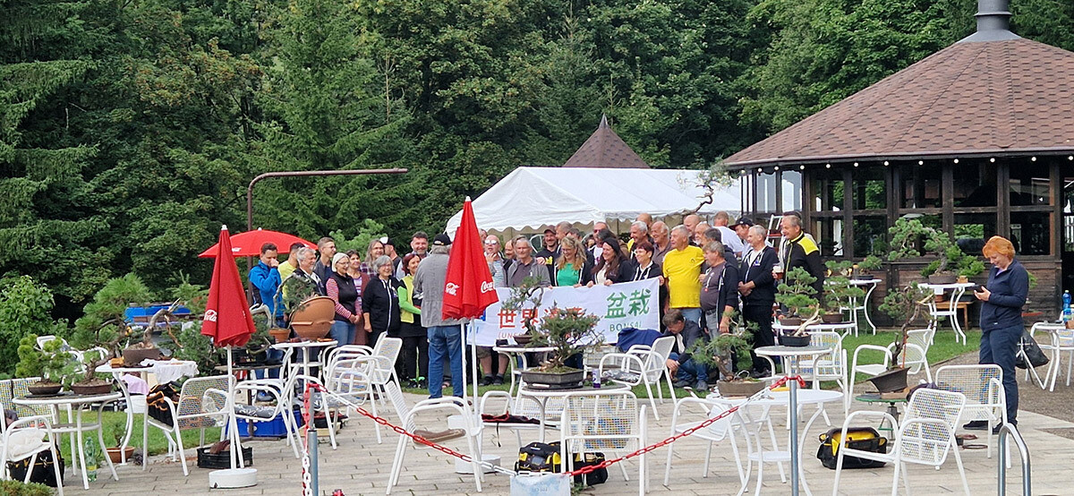 bonsajova-skola-2025-24